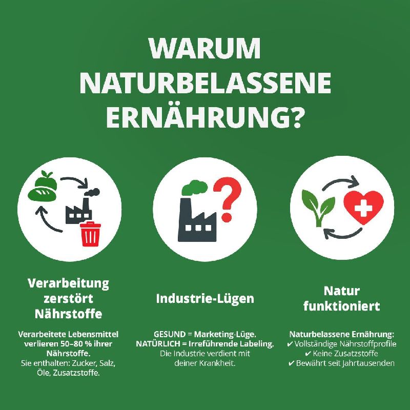 Produktbild: Die Krankheitslügen - Was man macht, um nicht krank zu werden.