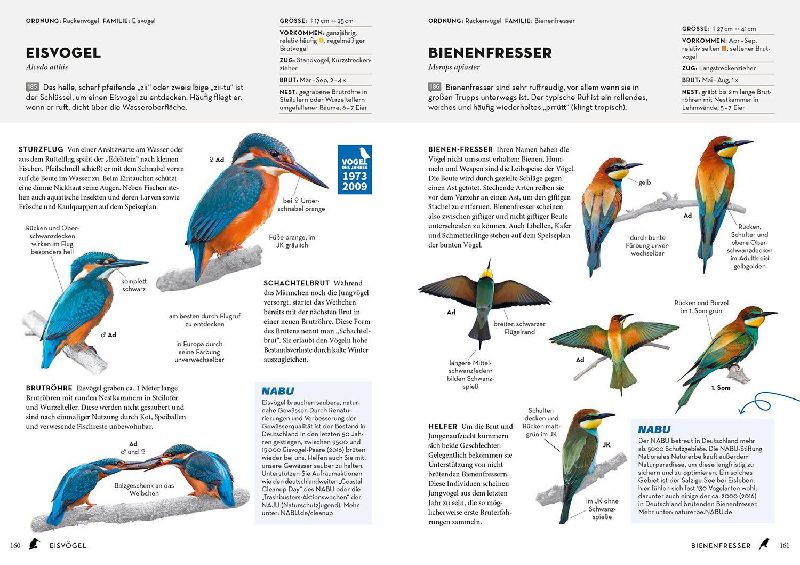 Produktbild: Das NABU-Vogelbuch