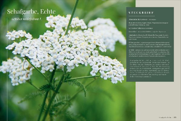 Produktbild: Die Kräutermacherei. Meine Naturapotheke.