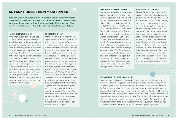 Produktbild: Scheinfasten - mein Masterplan