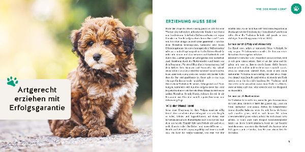 Produktbild: Welpen-Erziehung