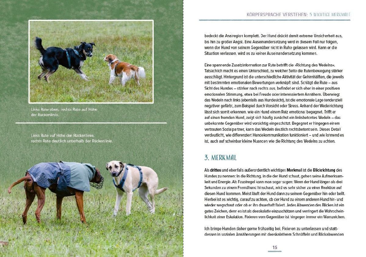 Produktbild: Das Hundesprachbuch