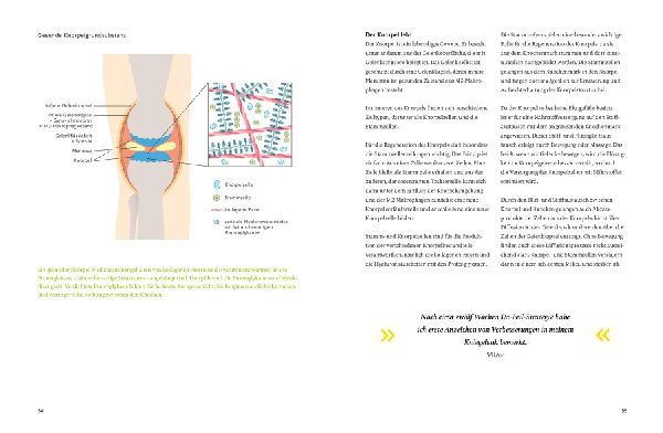 Produktbild: Arthrose endlich heilen