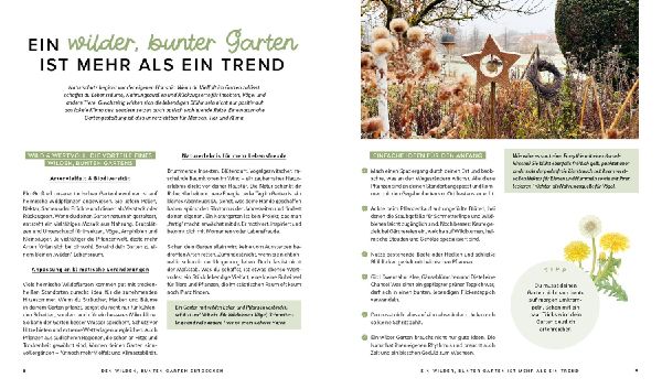 Produktbild: Mein wilder, bunter Garten - Einfach naturnah gärtnern