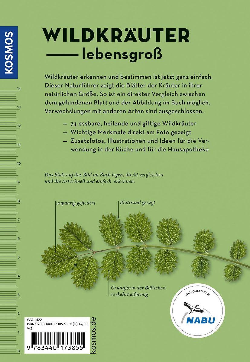 Produktbild: Wildkräuter am Blatt erkennen