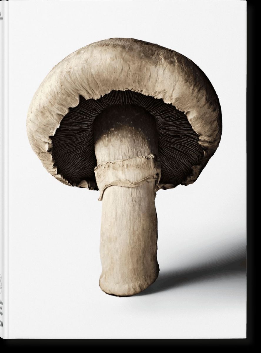 Produktbild: The Gourmand's Mushroom