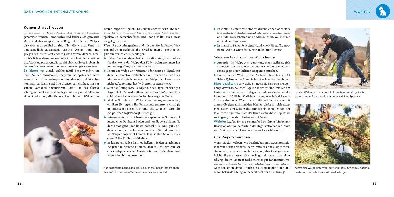 Produktbild: Welpen-Erziehung