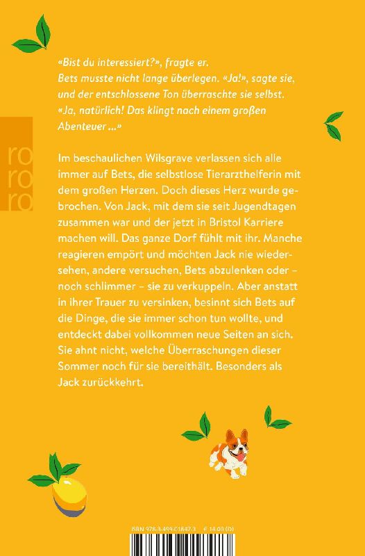 Produktbild: Ein Wiedersehen im Sommer