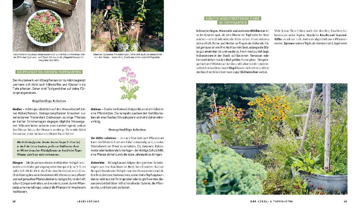 Produktbild: Mein wilder, bunter Garten - Einfach naturnah gärtnern