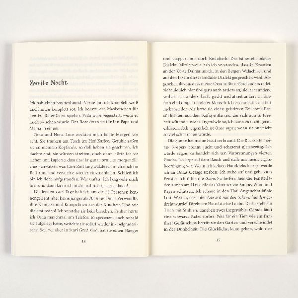 Produktbild: Der Sommer, als ich fliegen lernte