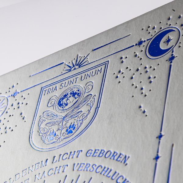 Produktbild: Where the Night Falls (School of Darkness 1)