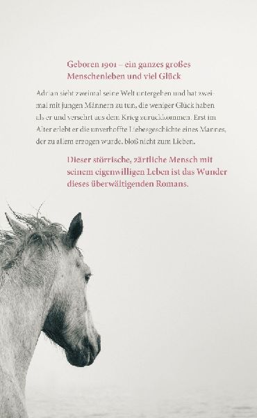 Produktbild: Im ersten Licht