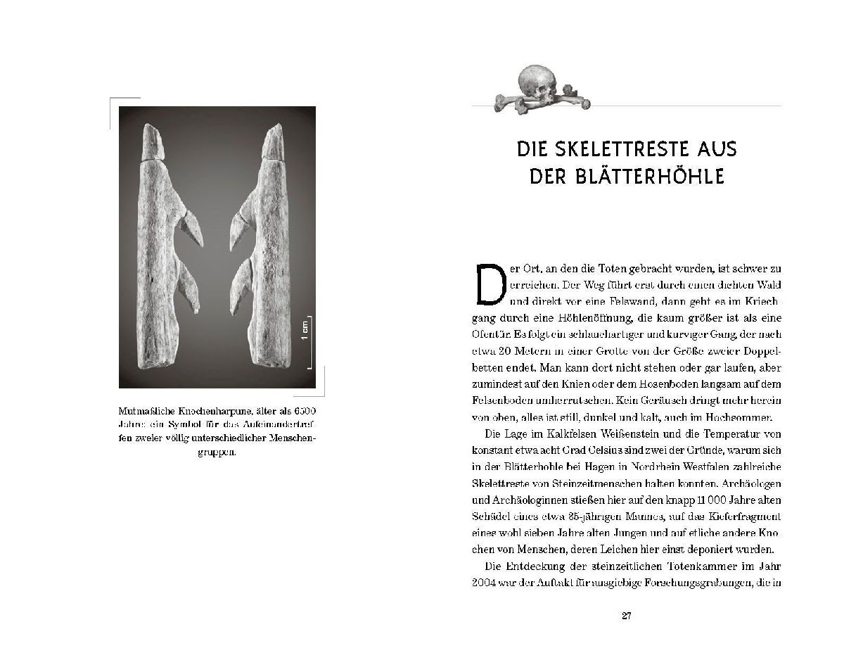 Produktbild: Düstere Geheimnisse