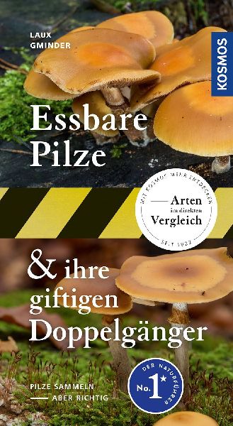 Produktbild: Essbare Pilze und ihre giftigen Doppelgänger