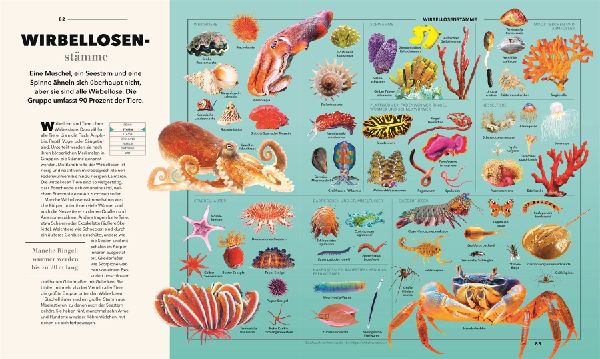 Produktbild: Universum des Wissens