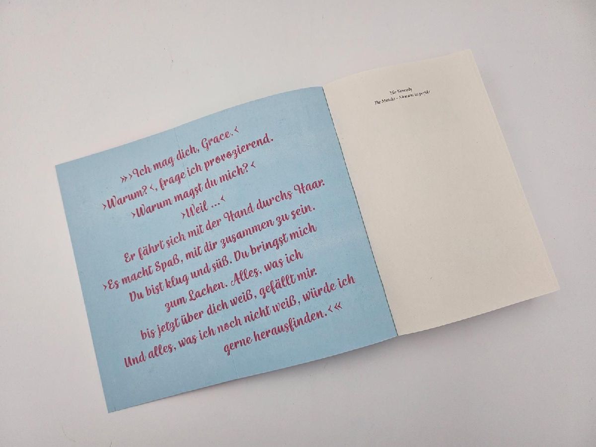 Produktbild: The Mistake - Niemand ist perfekt