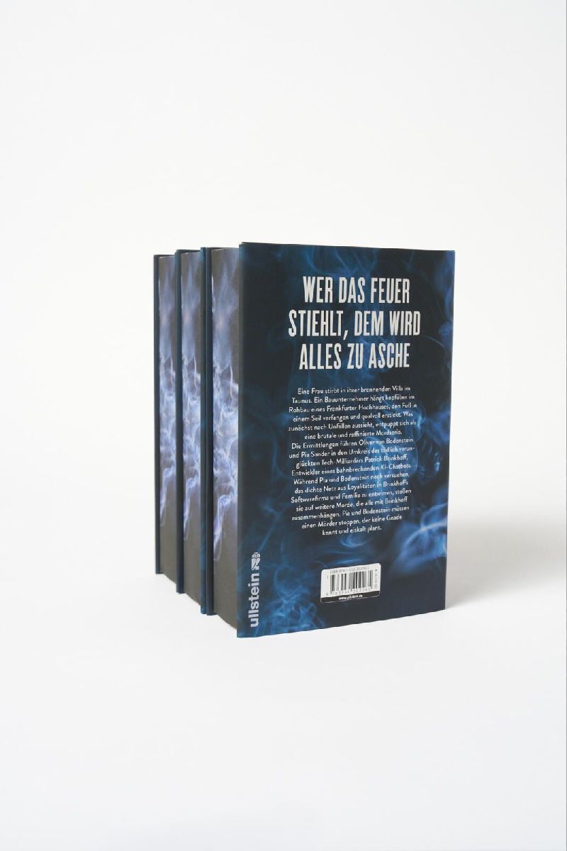 Produktbild: Alles wird Asche
