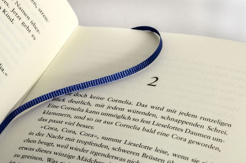 Produktbild: Die Riesinnen