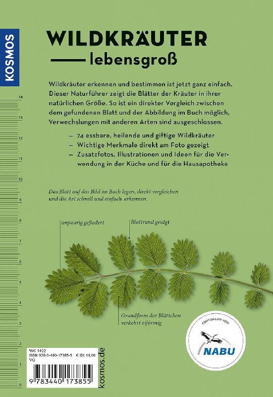 Produktbild: Wildkräuter am Blatt erkennen