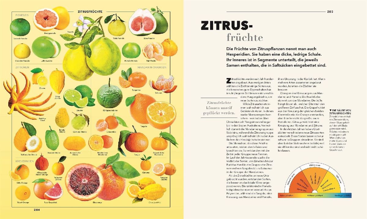 Produktbild: Universum des Wissens