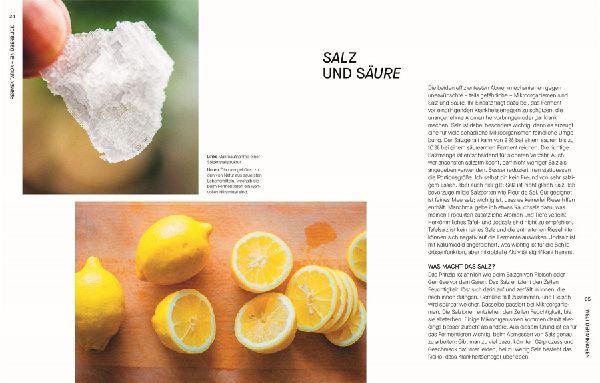 Produktbild: Fermentieren. Rezepte und Techniken für Geschmack, den man nicht kaufen kann