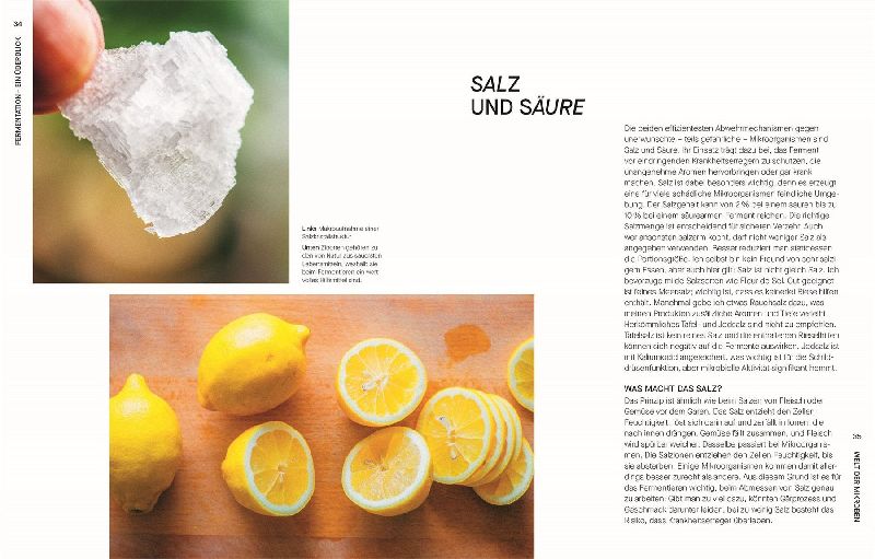 Produktbild: Fermentieren. Rezepte und Techniken für Geschmack, den man nicht kaufen kann