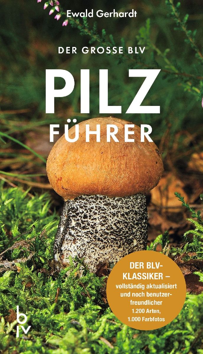 Produktbild: Der große BLV Pilzführer