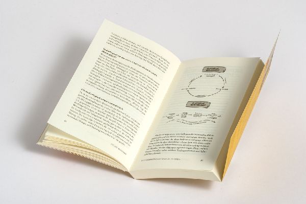 Produktbild: Trauma und Beziehungen