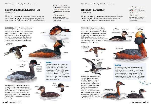Produktbild: Das NABU-Vogelbuch