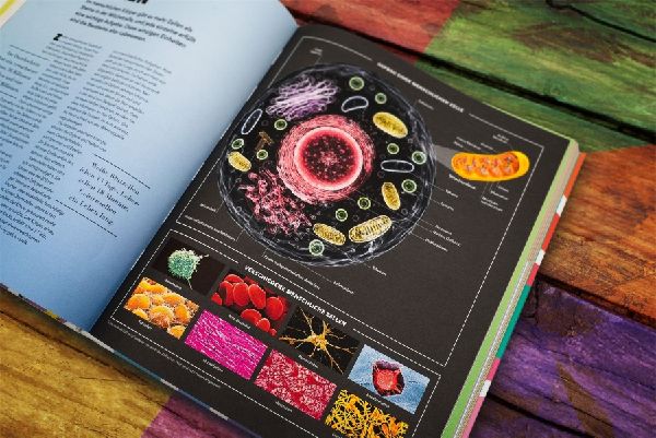 Produktbild: Universum des Wissens