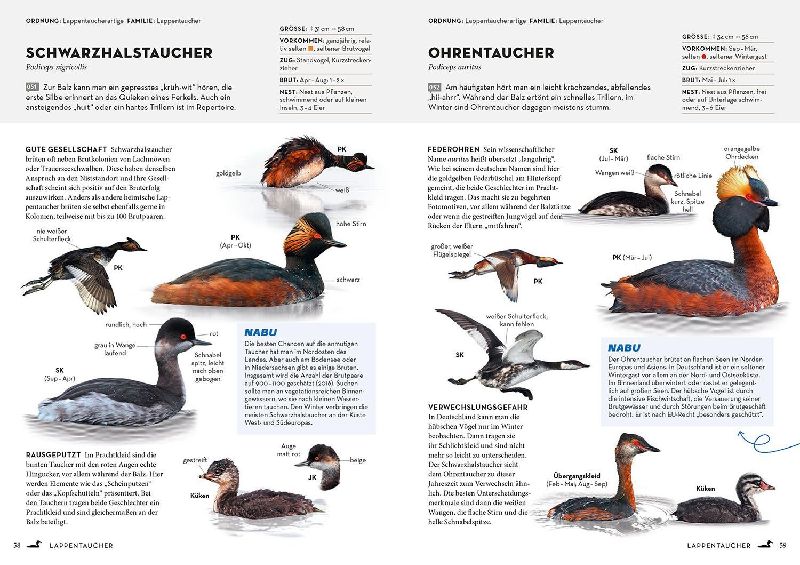 Produktbild: Das NABU-Vogelbuch