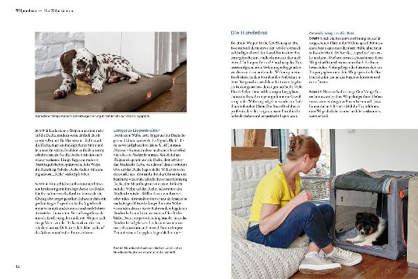 Produktbild: Welpentraining mit Martin Rütter