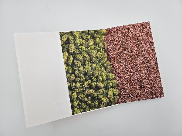 Produktbild: Gebrauchsanweisung für Bier