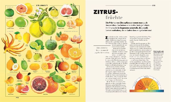 Produktbild: Universum des Wissens