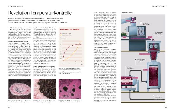 Produktbild: Wein - Die große Schule