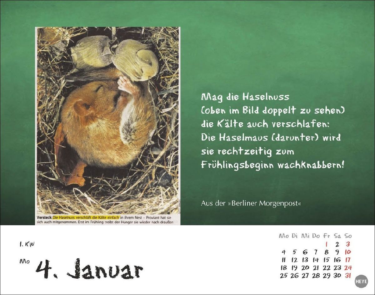 Produktbild: Bastian Sick Tagesabreißkalender 2027