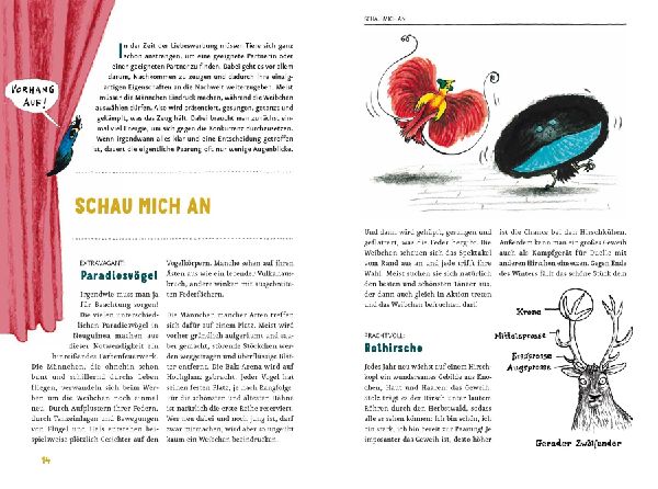 Produktbild: Das Liebesleben der Tiere