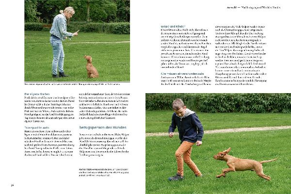 Produktbild: Welpentraining mit Martin Rütter