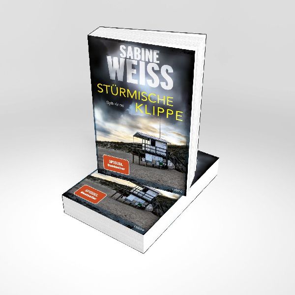 Produktbild: Stürmische Klippe