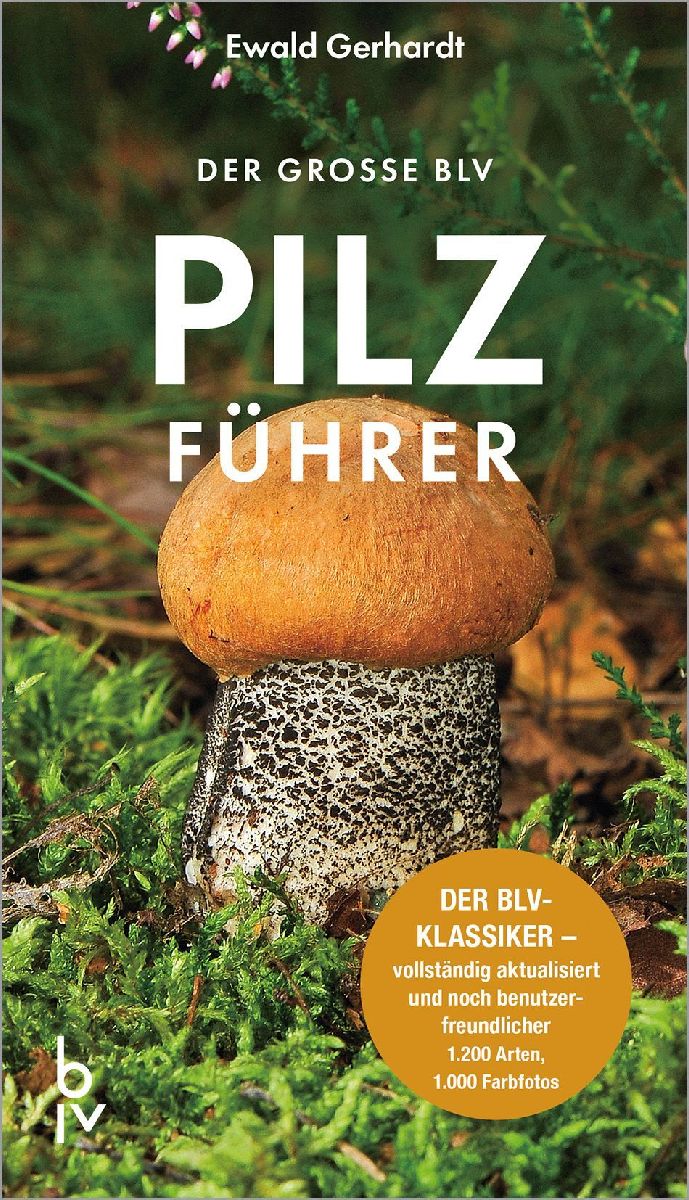 Produktbild: Der große BLV Pilzführer