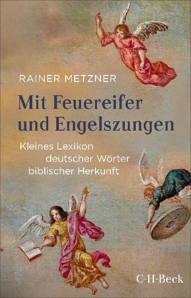 Produktbild: Mit Feuereifer und Engelszungen