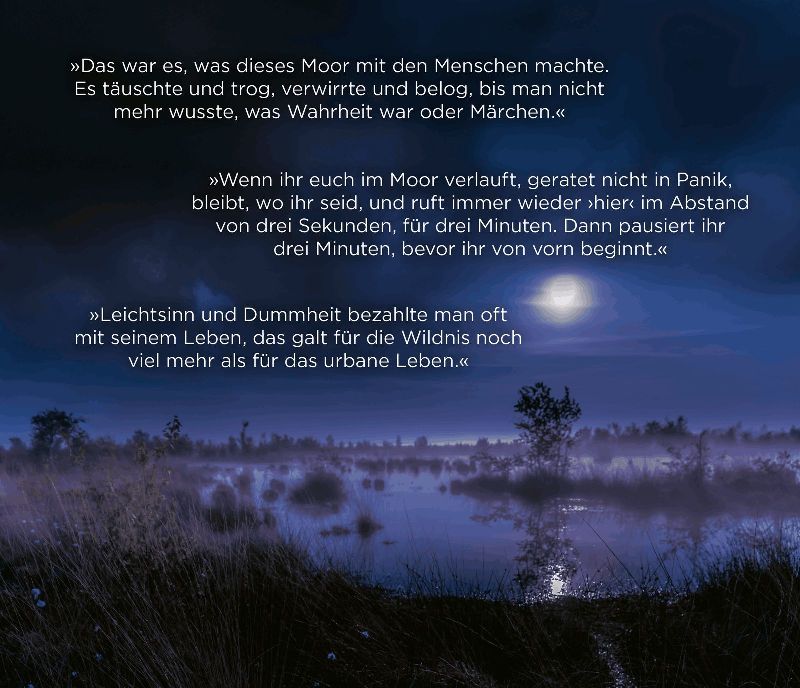 Produktbild: Moorland. Die Zwillinge