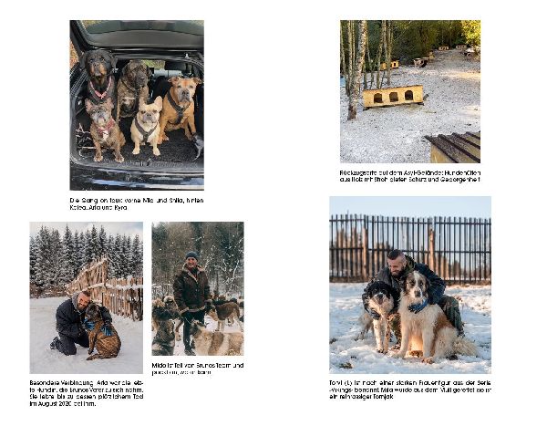 Produktbild: Der Hundebeschützer