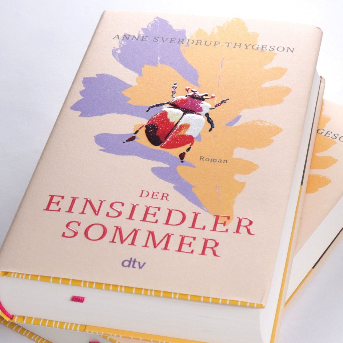 Produktbild: Der Einsiedlersommer