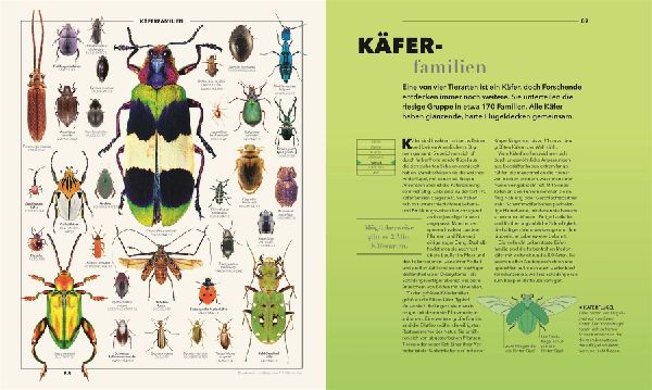 Produktbild: Universum des Wissens