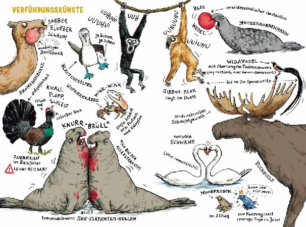Produktbild: Das Liebesleben der Tiere