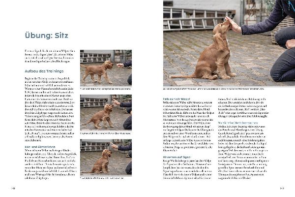 Produktbild: Welpentraining mit Martin Rütter