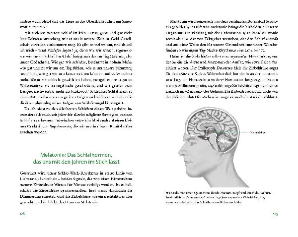 Produktbild: Der Vitamin- und Nährstoffkompass