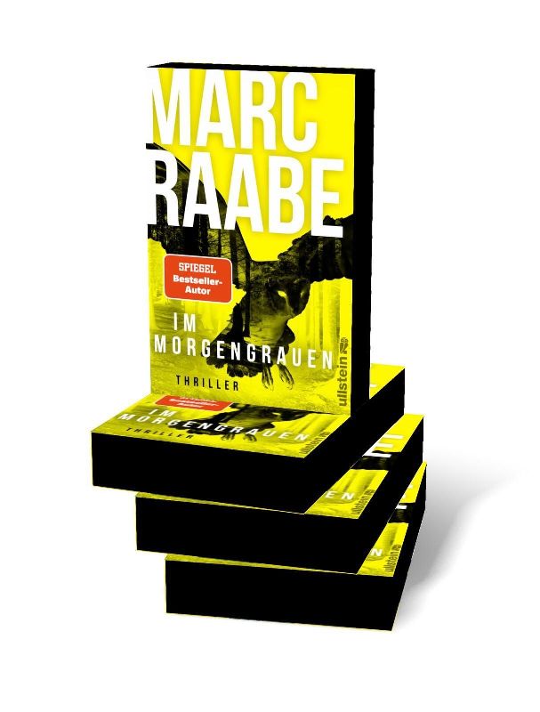 Produktbild: Im Morgengrauen