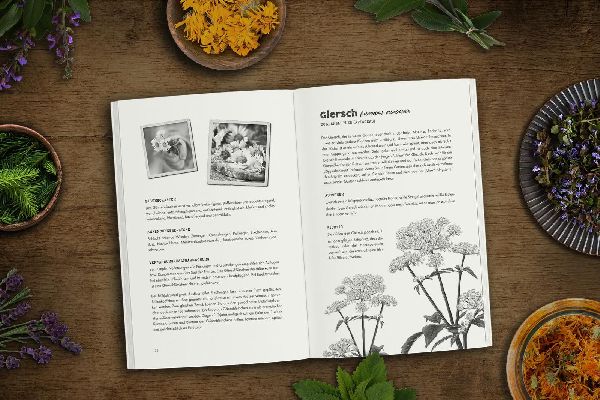 Produktbild: Das verlorene Handbuch der Kräutermedizin